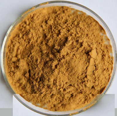 Agaricus Blazei Extract Powder Tcm Adaptogen Warehouse Pine Pollen