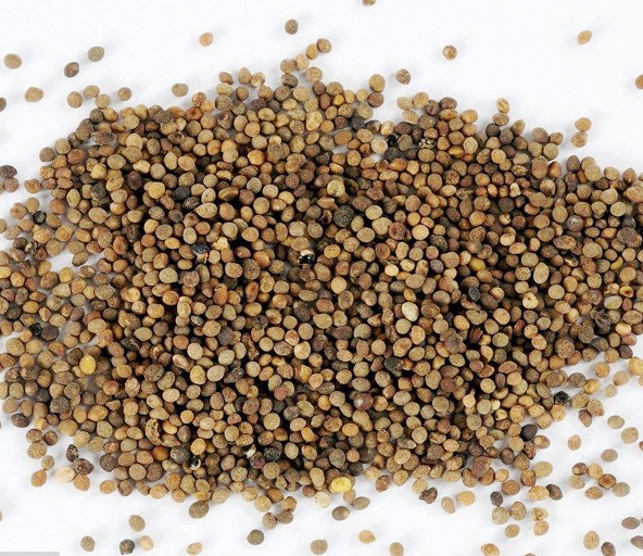 Dodder Seed Extract - Pine Pollen Powder, Cell Cracked Pine Pollen ...